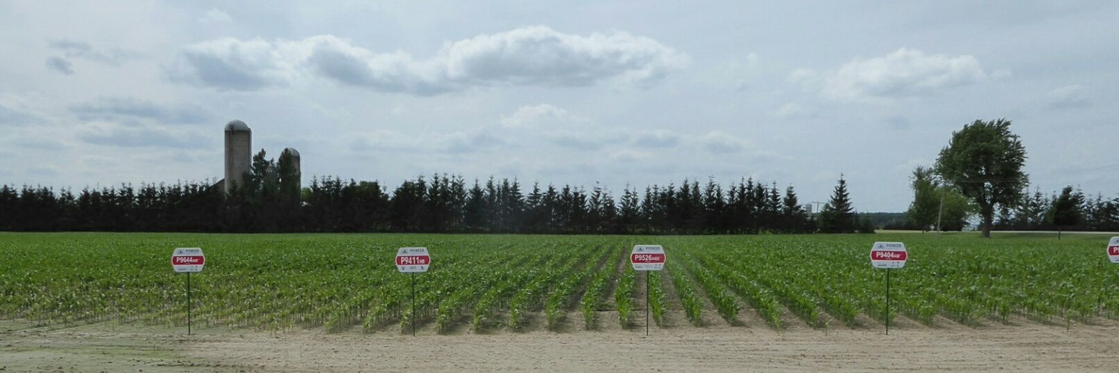 Perth Ag Partners banner