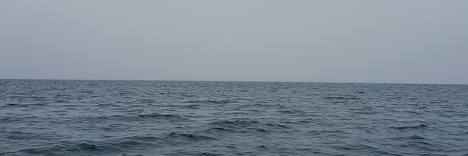 mlvnsam's profile banner image
