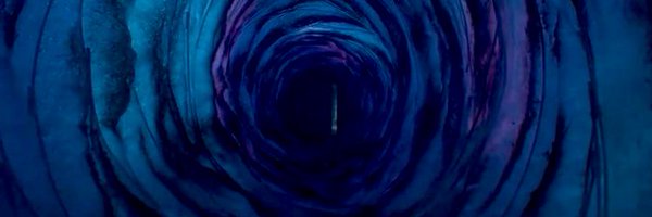 lostsoulsfox Profile Banner