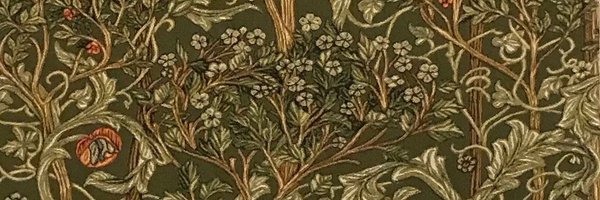 bluShieldmaiden Profile Banner