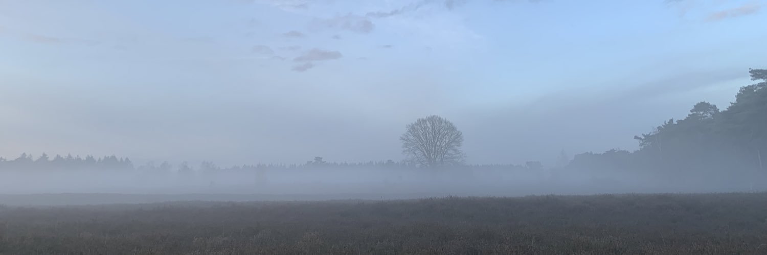 Julia Romijn-Wixley banner