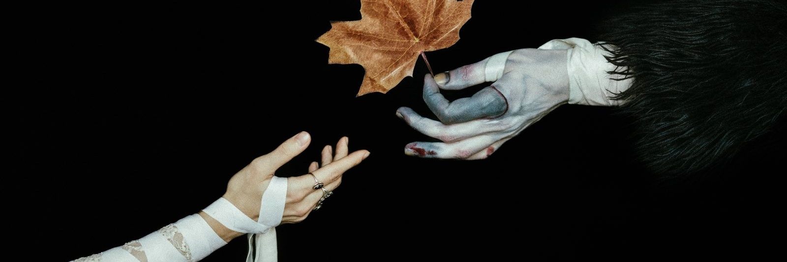 kindnesspunk__'s profile banner image