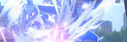 #shira banner