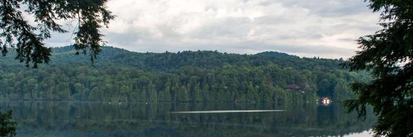 DavidWeedmark Profile Banner