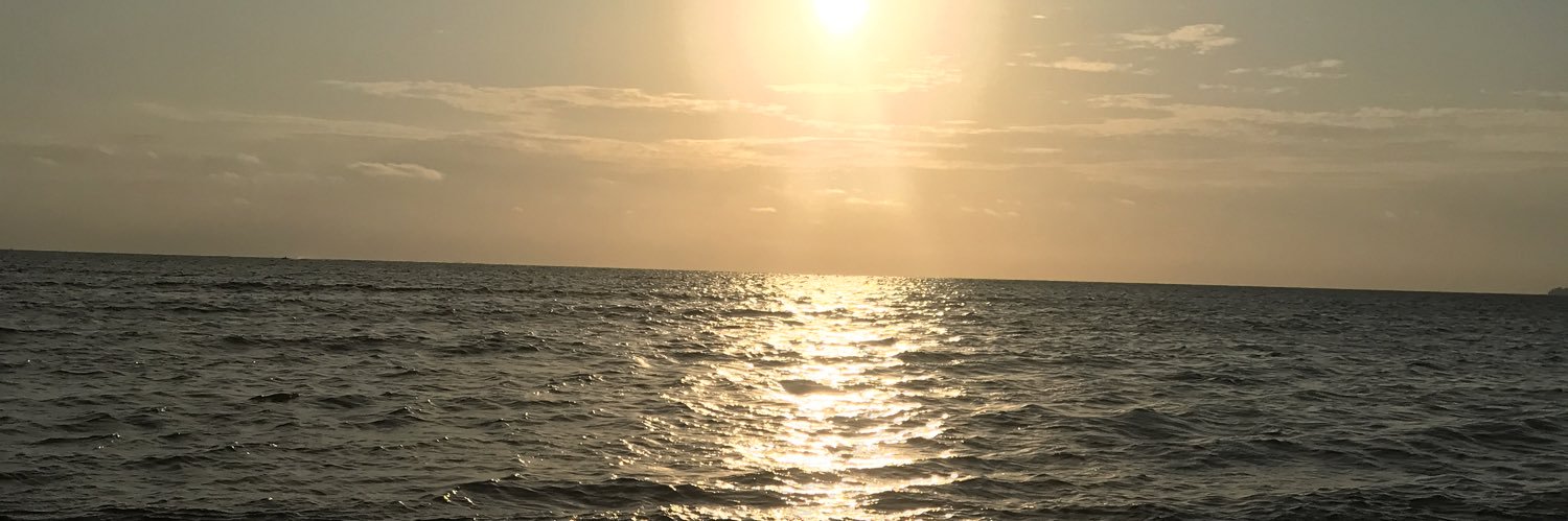 srianggreni_'s profile banner image