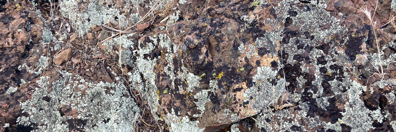 Jesse Alejandro Cottrell banner