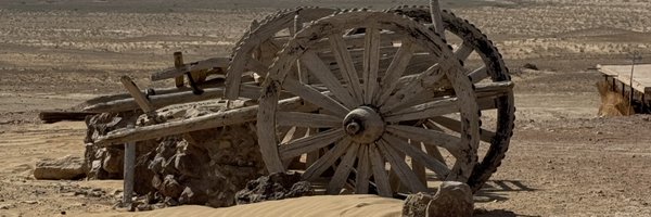 cezarygmyz Profile Banner