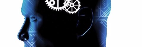 ⮞⮞ Gnom B ⮜⮜ banner