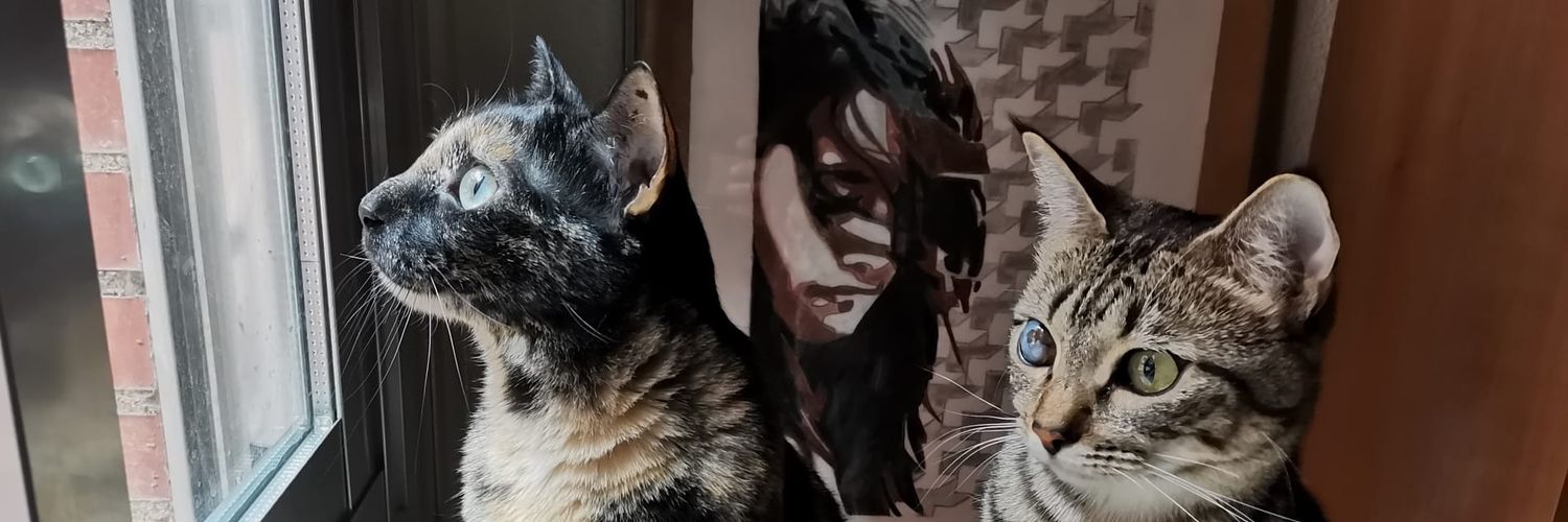 birriusky's profile banner image