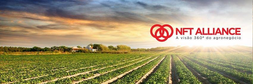 nftalliance's profile banner image