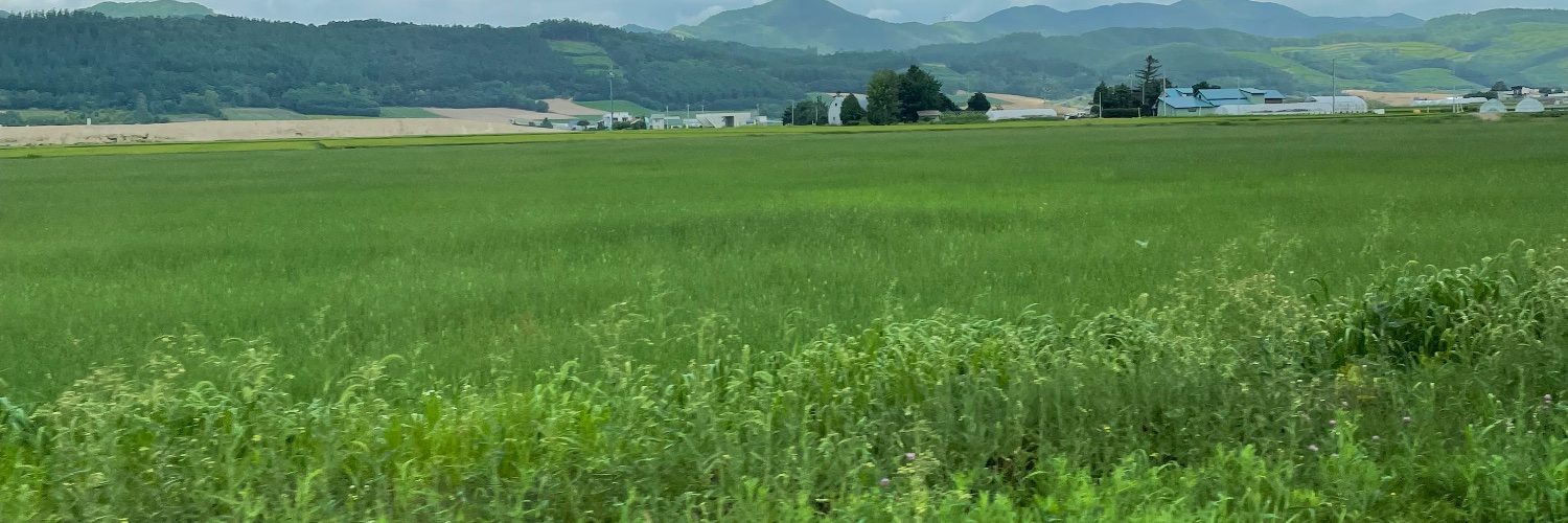 乃了 / Dairyo banner