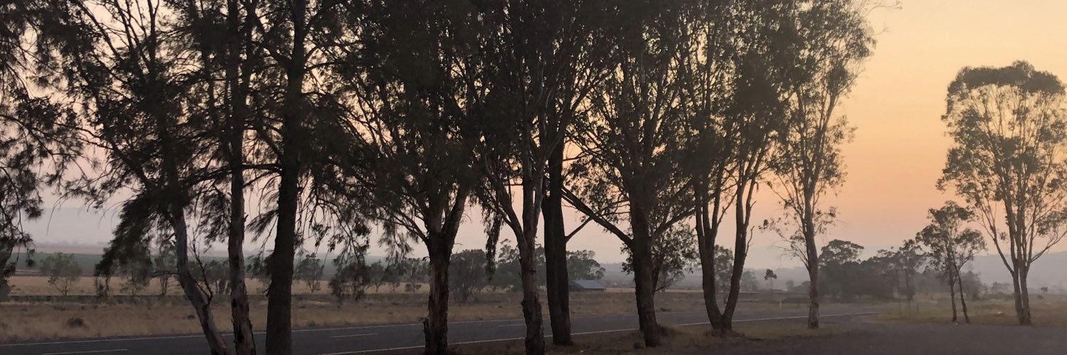 Sally-Anne R. 🏊🎼 🚀🐮 banner