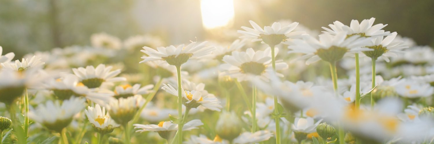 ふらっと💫 banner