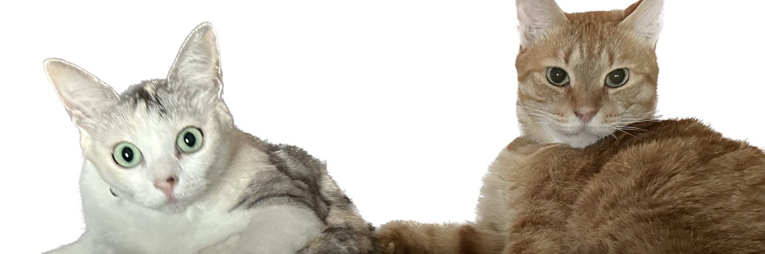 noa banner