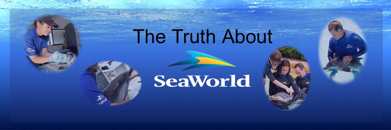 SeaWorldTruth's profile banner image