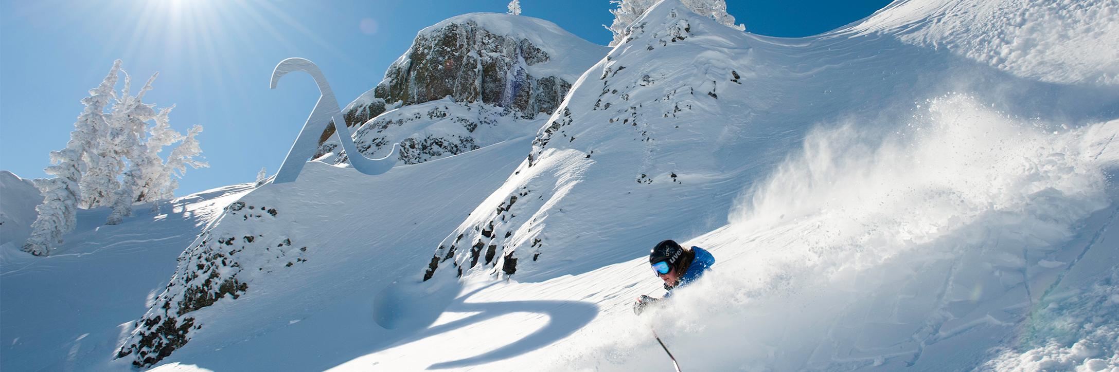 Eigenvector Research banner