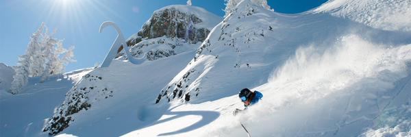 eigenvectorinc Profile Banner