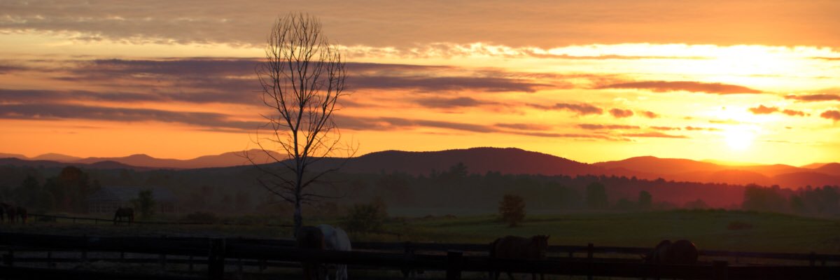 jamesnair's profile banner image