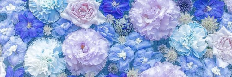 nachunchu33's profile banner image