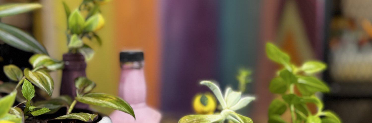 Deniz Yoldaç banner