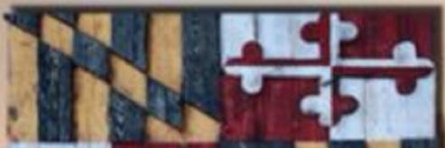 you_know_amy_'s profile banner image