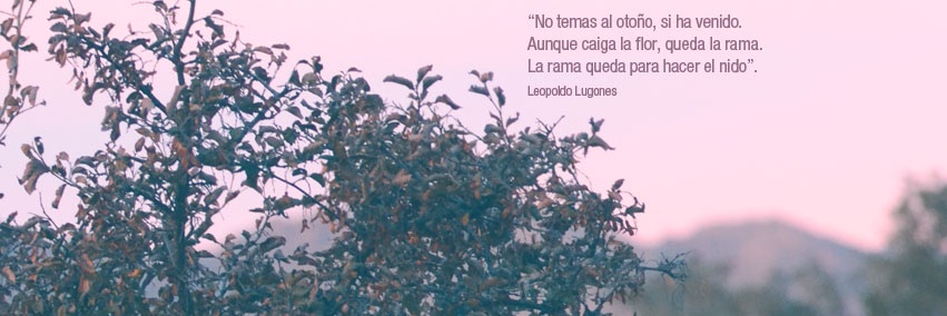 socmindfulness's profile banner image