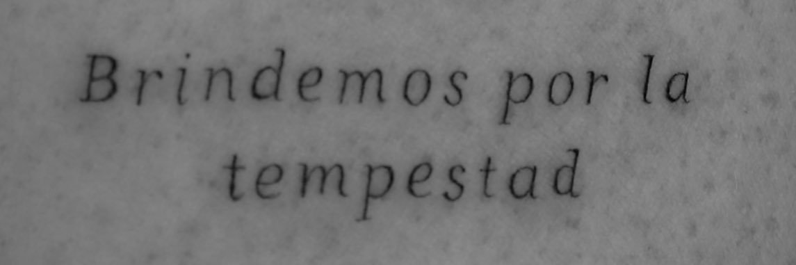 Carol SC ✨❤️‍🔥 banner