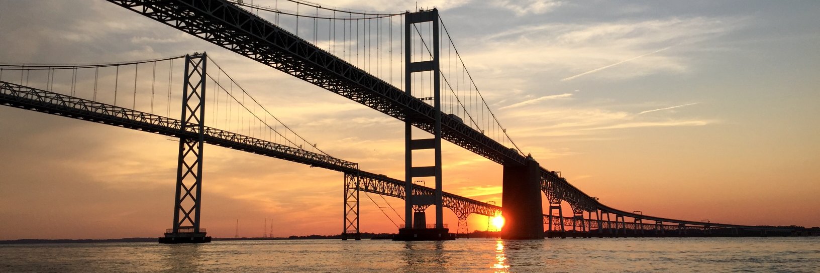 Amanda Reilly banner