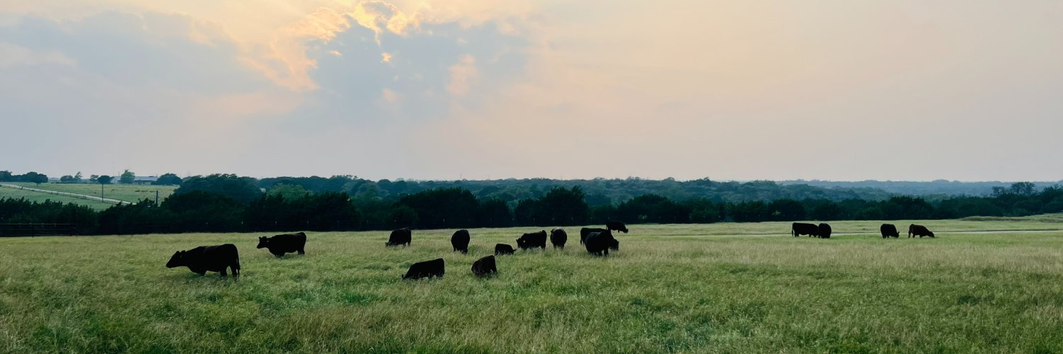 LinzerRanch's profile banner image