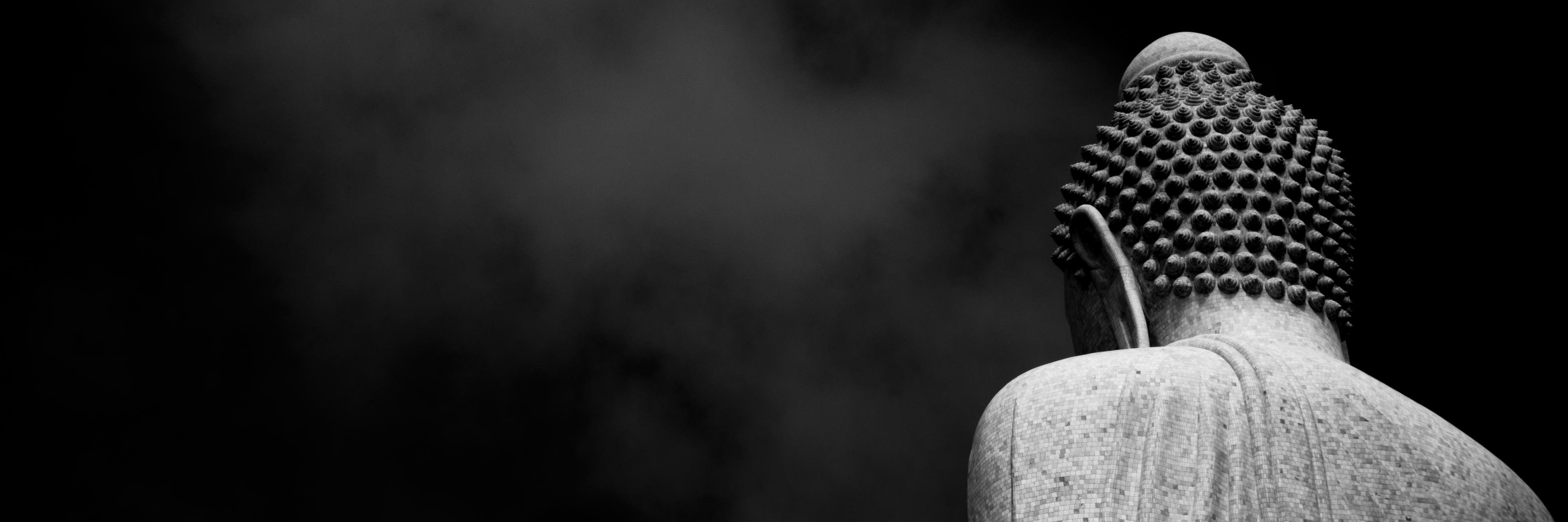 Lucenactus's profile banner image