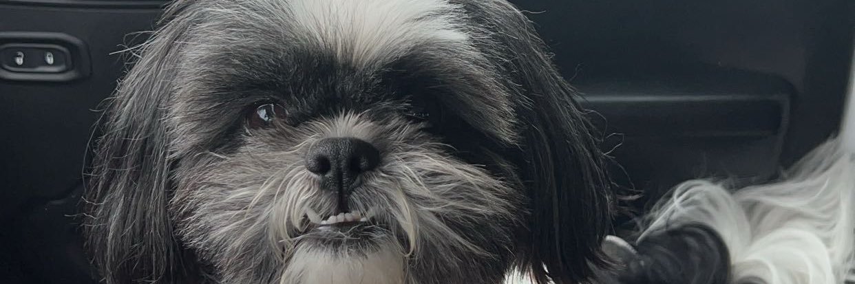 MyrandaMenn's profile banner image