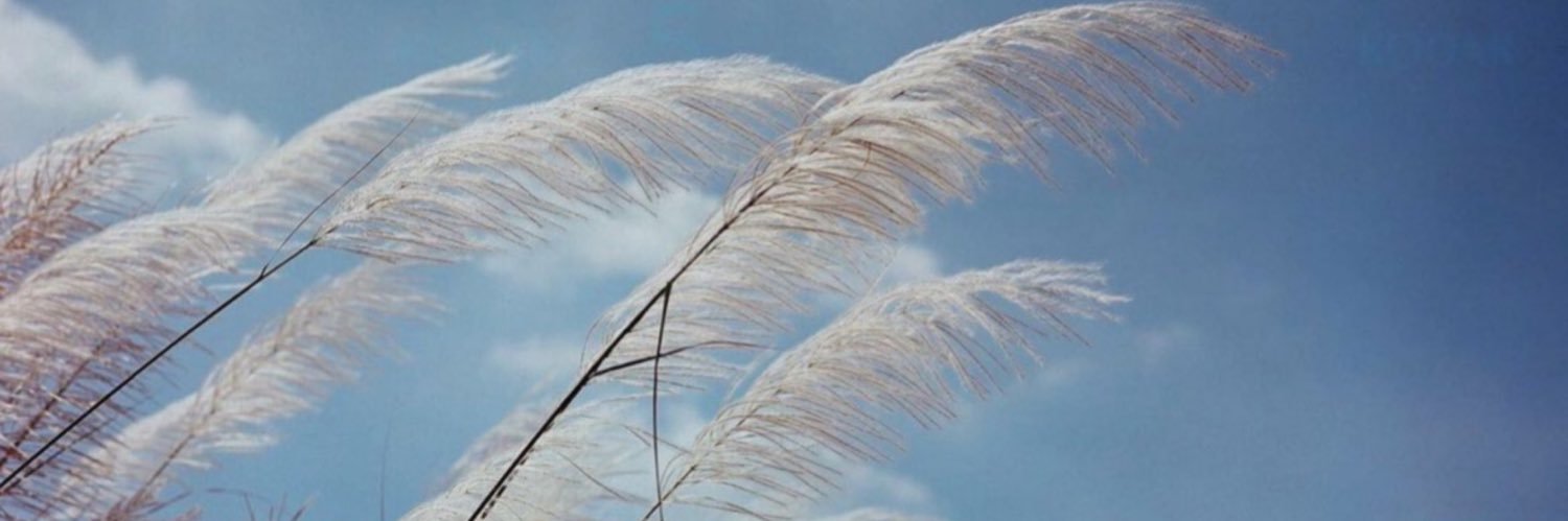 Taara5520 banner