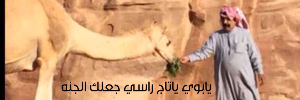 f_alshareef18's profile banner image