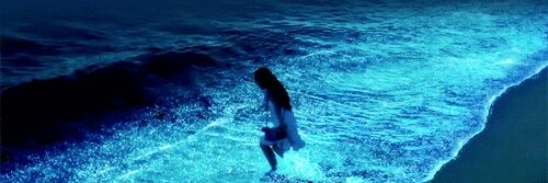 SunMoonlight888's profile banner image