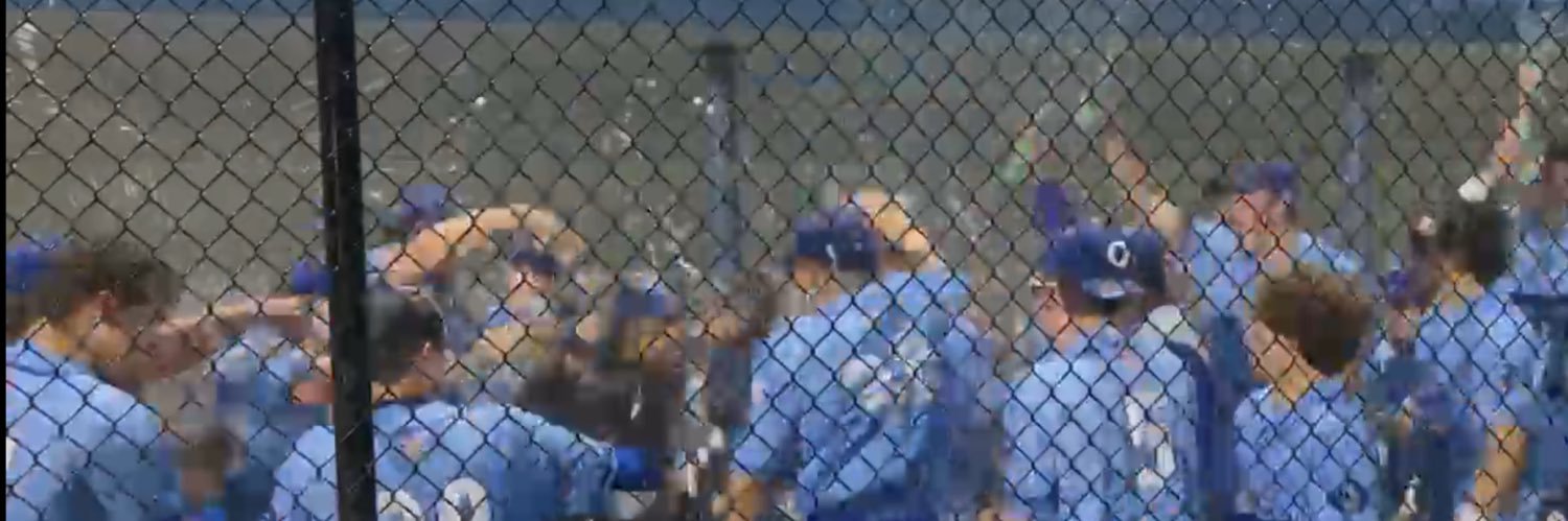 QTownHSBaseball banner