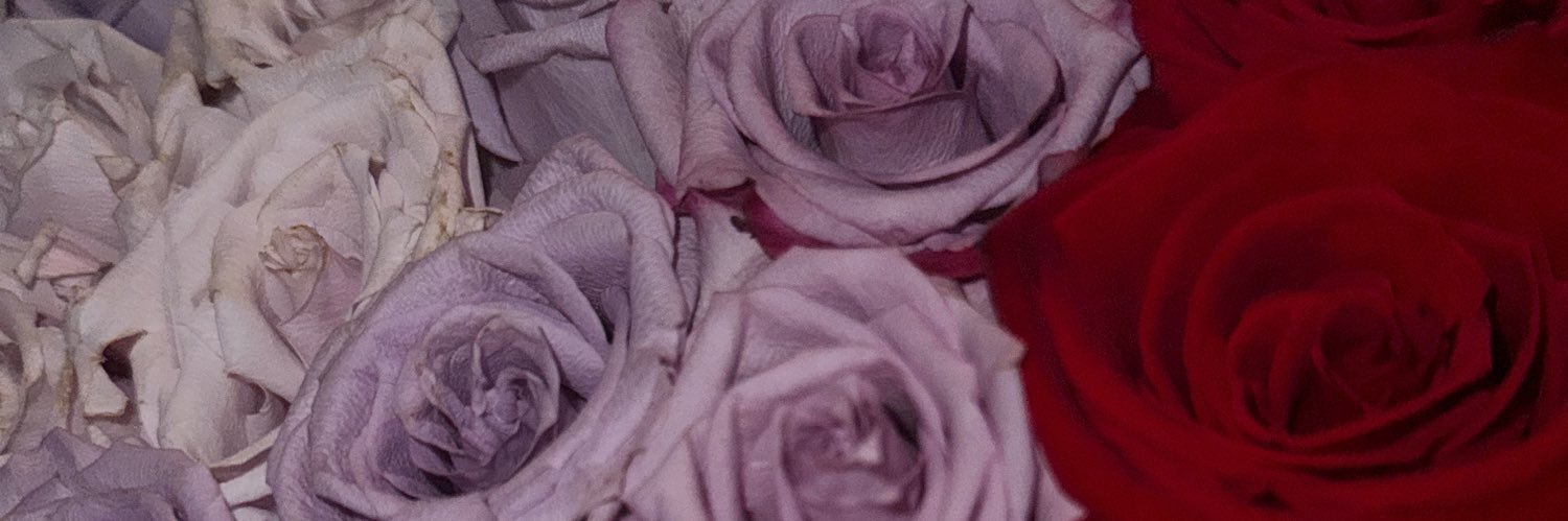 FaithRFox's profile banner image