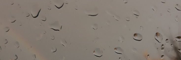 flor_aleva's profile banner image