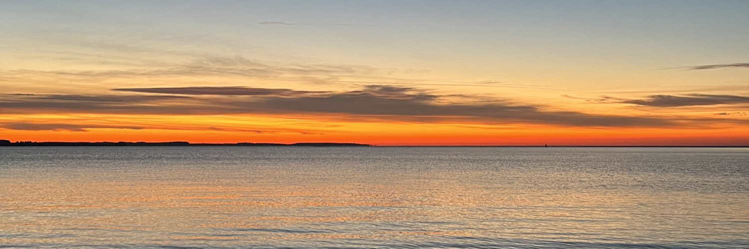 George Allen Miller banner