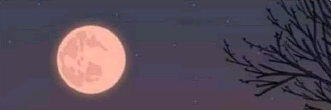 mjarie27's profile banner image