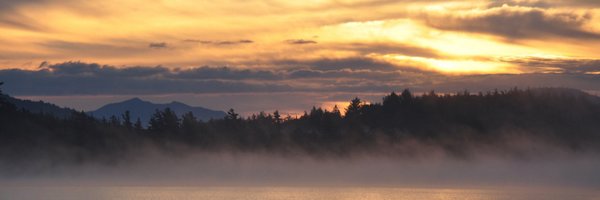 davebickford Profile Banner