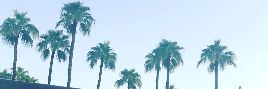 yellowsock's profile banner image