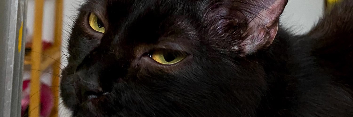 euandersonol's profile banner image