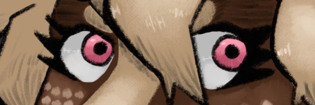 DDDCARI banner