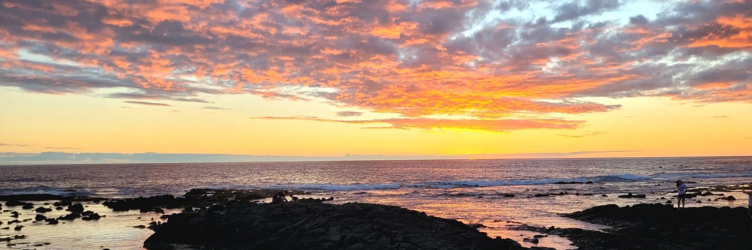 Michael Stewart banner