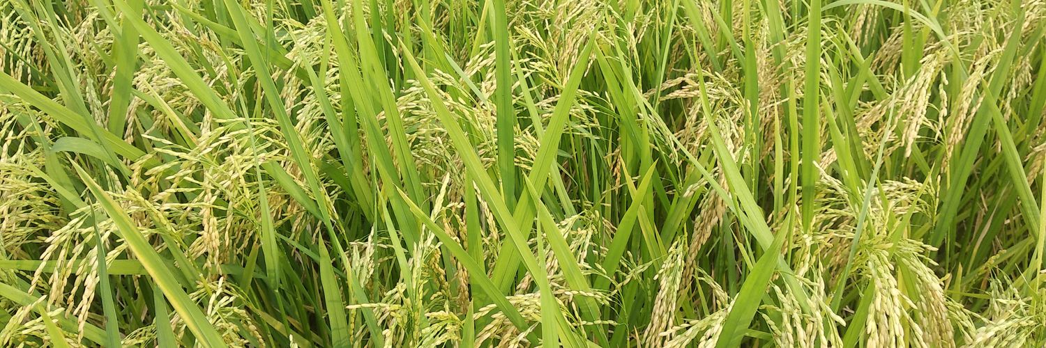 ବିମଳେନ୍ଦୁ ଷଡ଼ଙ୍ଗୀ /Bimalendu A+ ବନ୍ଦେ ଉତ୍କଳ ଜନନୀ banner