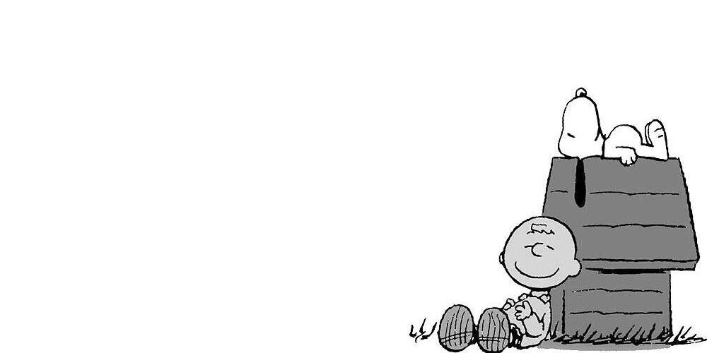 DaoFede's profile banner image
