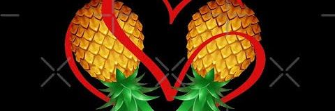 Paloma banner