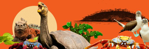 rewild Profile Banner