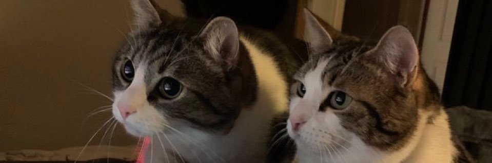 torchmyth's profile banner image