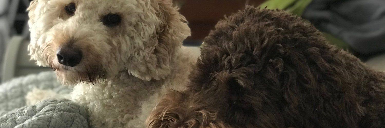 Paul Melson /Realtor banner